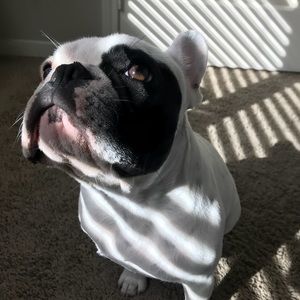 Meet your Posher, Kierra